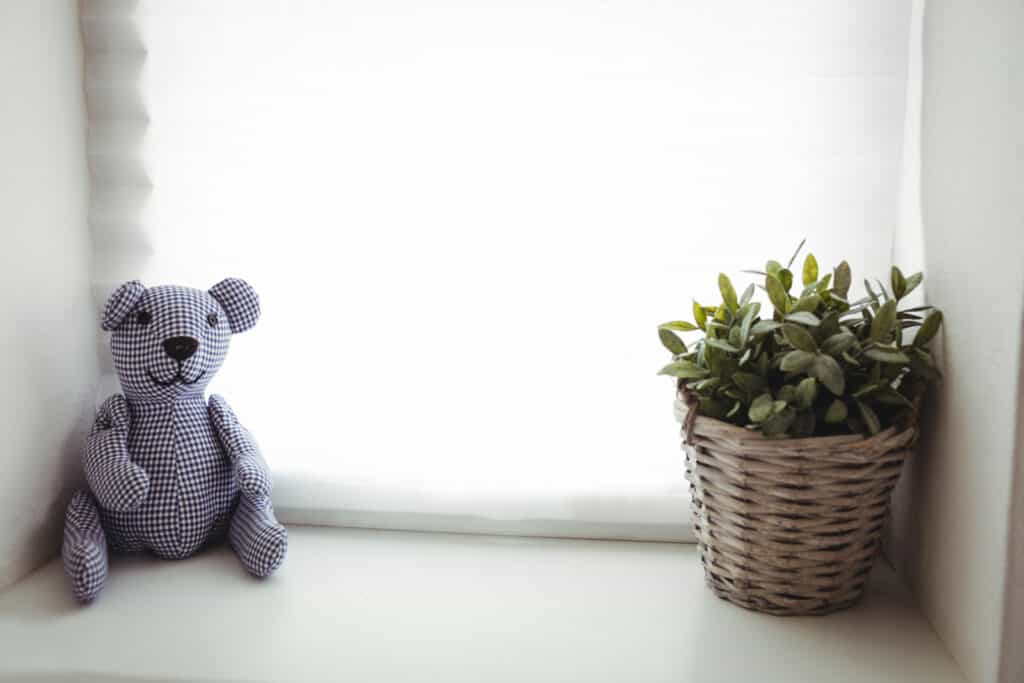 29265534_toy-and-pot-plant